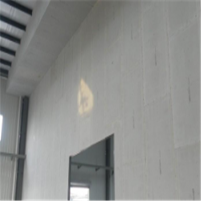 平江宁波ALC板|EPS加气板隔墙与混凝土整浇联接的实验研讨